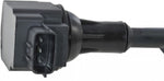 Ignition Coil: 2505-308428