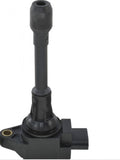 Ignition Coil: 2505-308428