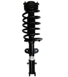 Shock Absorber and Strut Assembly